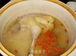 鸡煲