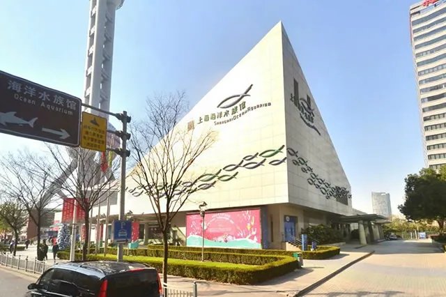 上海海洋公园有哪些 上海著名海洋馆景点推荐 来上海探索海底世界的奥秘