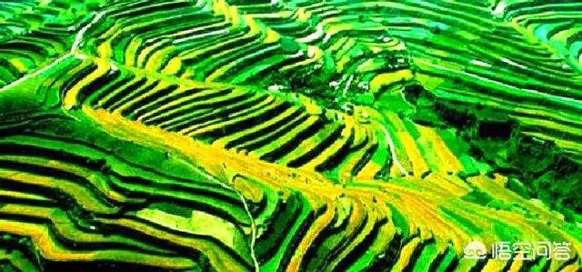 甘肃省平凉市有哪些景点？