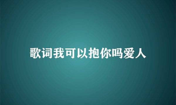 歌词我可以抱你吗爱人