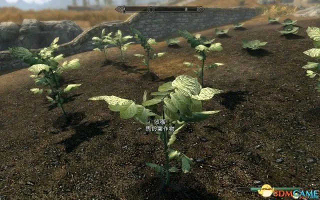 上古卷轴5:天际重制版有什么不同 老滚5重制新内容