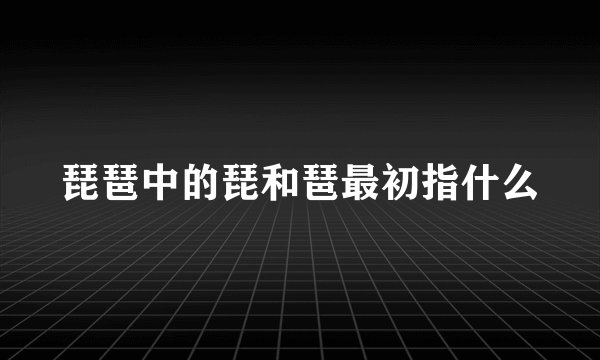 琵琶中的琵和琶最初指什么