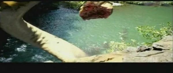 水虎蟒鱼的介绍