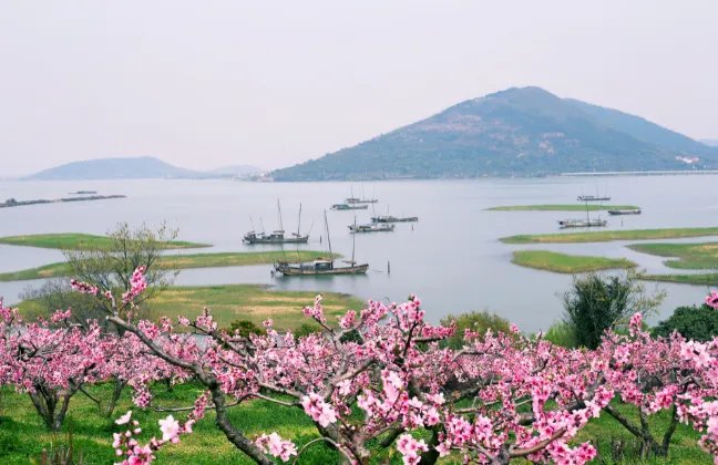 三月的别称 三月的其他叫法