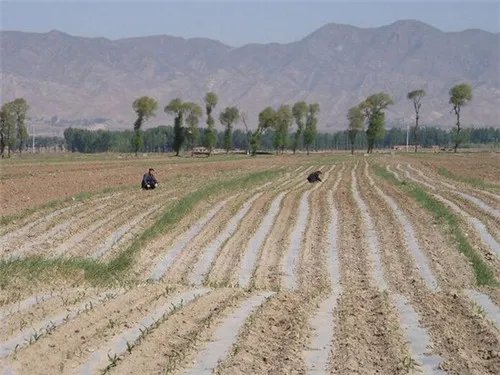 自留地是什么意思