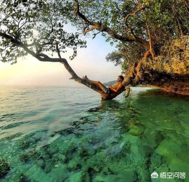 别人家的老师你喜欢哪点？