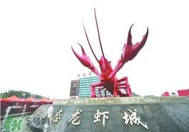 2017潜江龙虾节门票多少钱？2017潜江龙虾节门票
