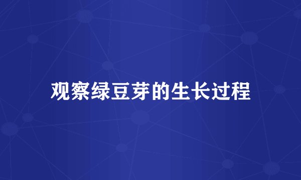 观察绿豆芽的生长过程