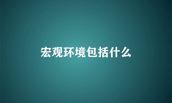 宏观环境包括什么