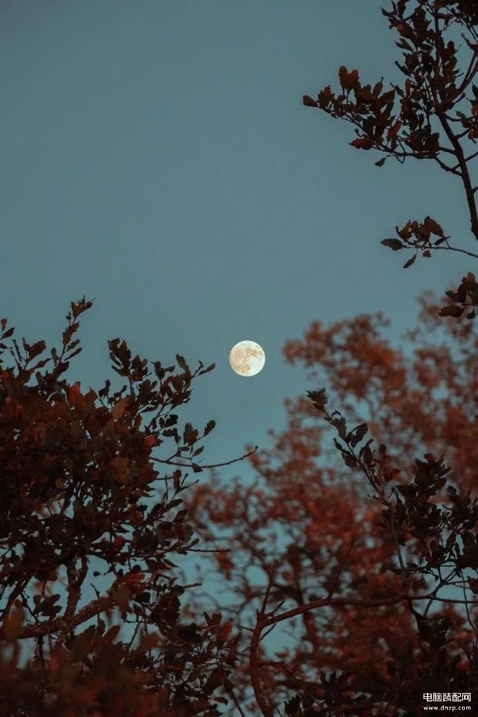 拍月亮的手机参数怎么调（4招手机拍月亮的方法汇总）