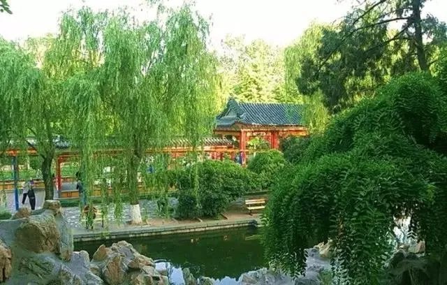 石家庄有哪些城市文化名片?