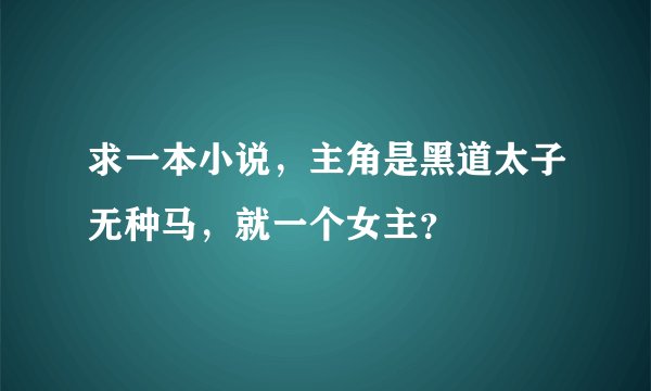 求一本小说，主角是黑道太子无种马，就一个女主？