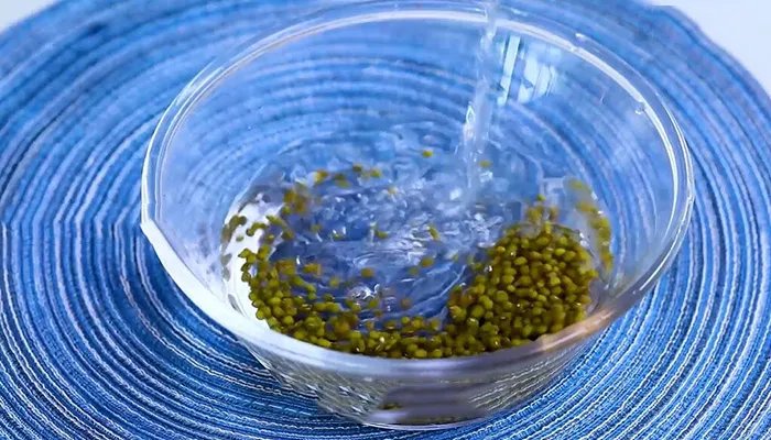 炖鸡的做法 如何炖鸡汤好喝