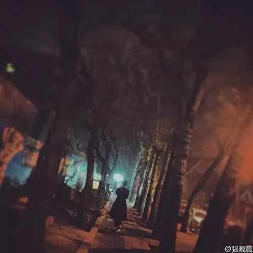 如何评价演员张晓晨？