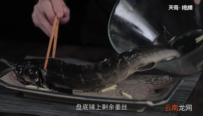 中华鲟鱼的做法 中华鲟鱼怎么做好吃