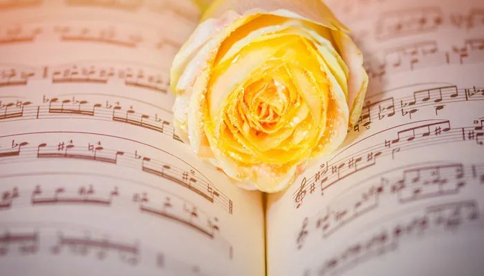 止于唇齿掩于岁月什么意思 止于唇齿掩于岁月出自哪里