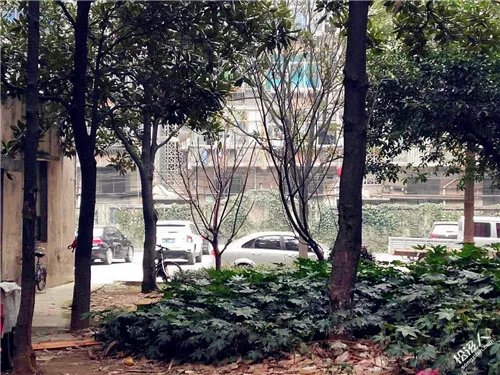 南京哪个区租房子便宜 江宁区详情信息有哪些