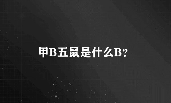 甲B五鼠是什么B？