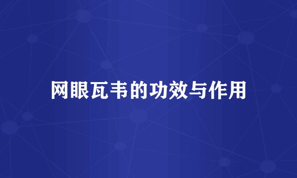 网眼瓦韦的功效与作用
