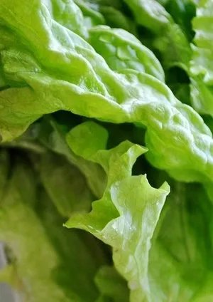 家常寿司的做法，家常寿司怎么做好吃，家常寿司