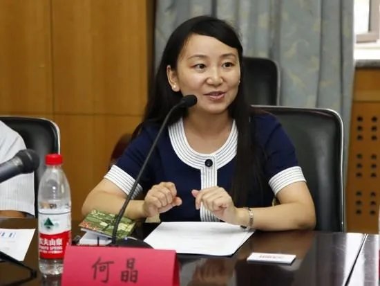 何晶的个人简介