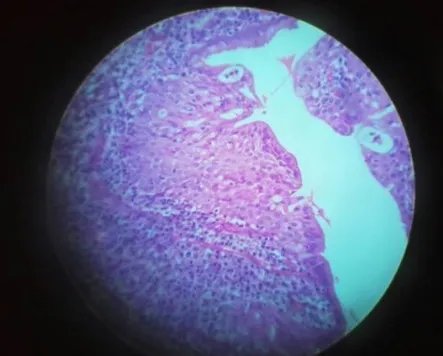 化生是什么意思？