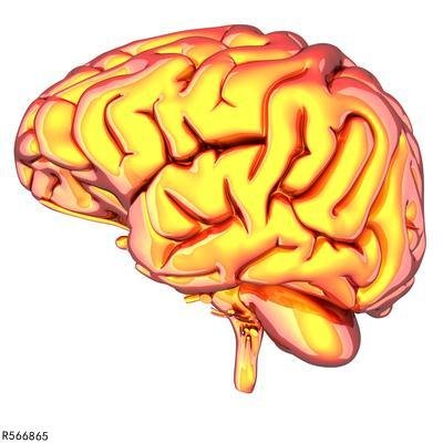 酒精中毒性脑病有哪些症状