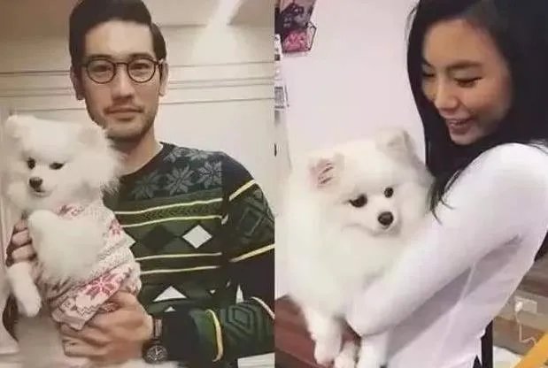 高以翔女友的个人资料：高以翔女友名字与家庭背景