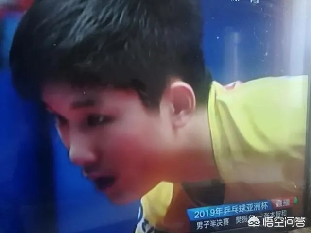 樊振东4:1逆转张本智和晋级2019年亚洲杯男单决赛，如何评价本场比赛双方的表现？