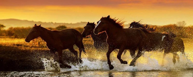 描写战争的诗 描写战争的诗句有哪些