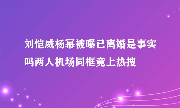 刘恺威杨幂被曝已离婚是事实吗两人机场同框竟上热搜