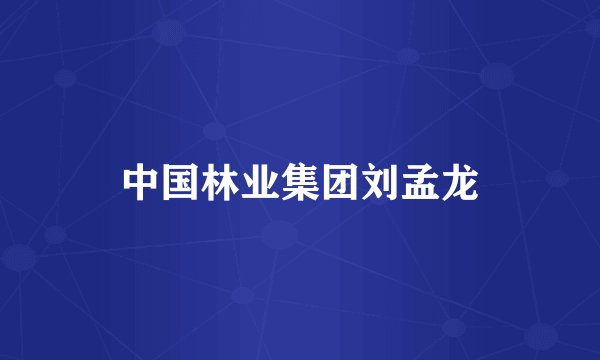 中国林业集团刘孟龙
