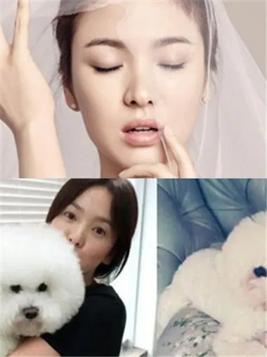 网曝宋慧乔素颜抱小狗 网友们纷纷惊叹女神实在是太美了