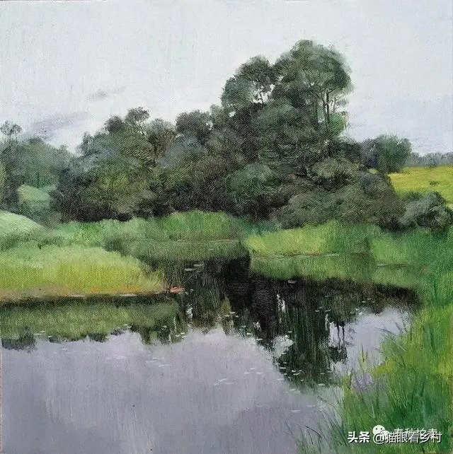 雨后池塘水浑浊怎么处理？