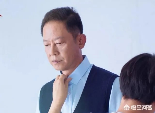 你怎么看电视剧《归去来》中王志文扮演的书望？