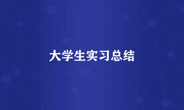 大学生实习总结