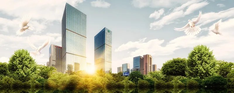 什么是政策性住房 政策性住房是什么意思