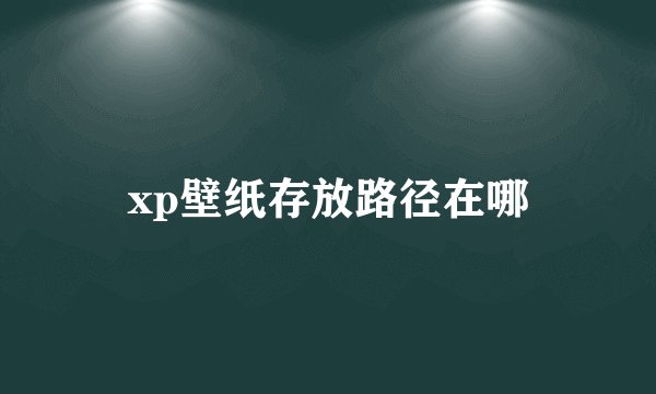 xp壁纸存放路径在哪