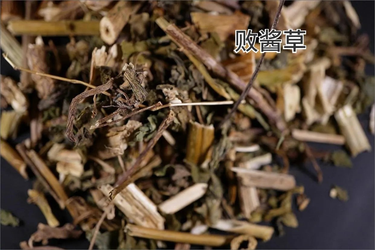 败酱草的别名及图片