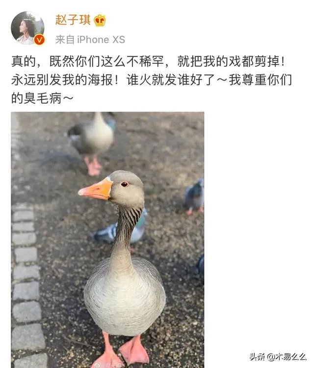 电视剧《重生》女主赵子琪开撕：作为女主没有海报。这件事你怎么看？