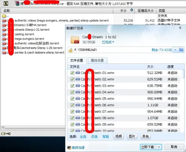 czech streets在线看