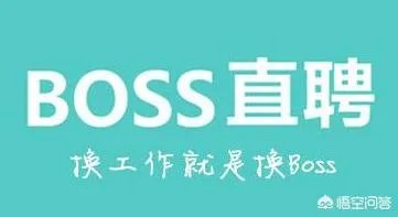 大公司一般在什么招聘软件上招聘？