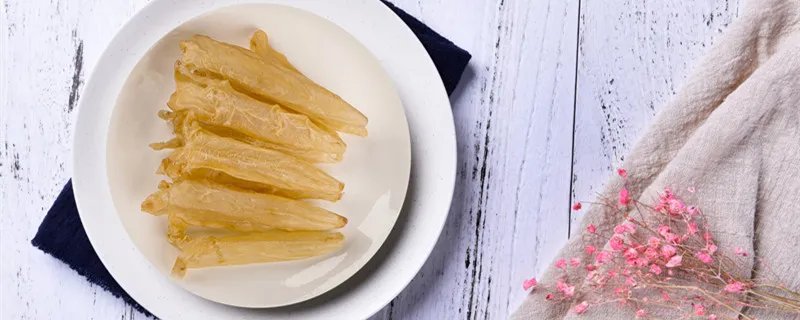 鱼鳔是什么 鱼鳔是什么东西