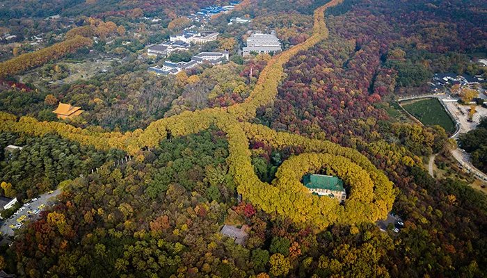南京哪里好玩 南京必去5个景点