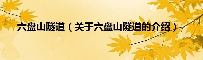 六盘山隧道（关于六盘山隧道的介绍）