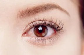 上眼皮松弛下垂的原因