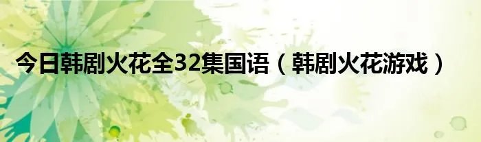 今日韩剧火花全32集国语（韩剧火花游戏）