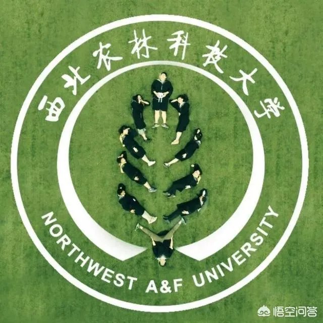 又是一年毕业季，摄影师怎么才能拍出有创意照片？