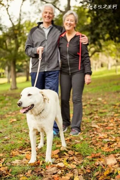 内向的男生喜欢什么礼物 或许是一块贴心的手表？