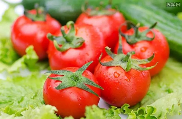 适合农村的创业项目有哪些？盘点6大农村创业项目